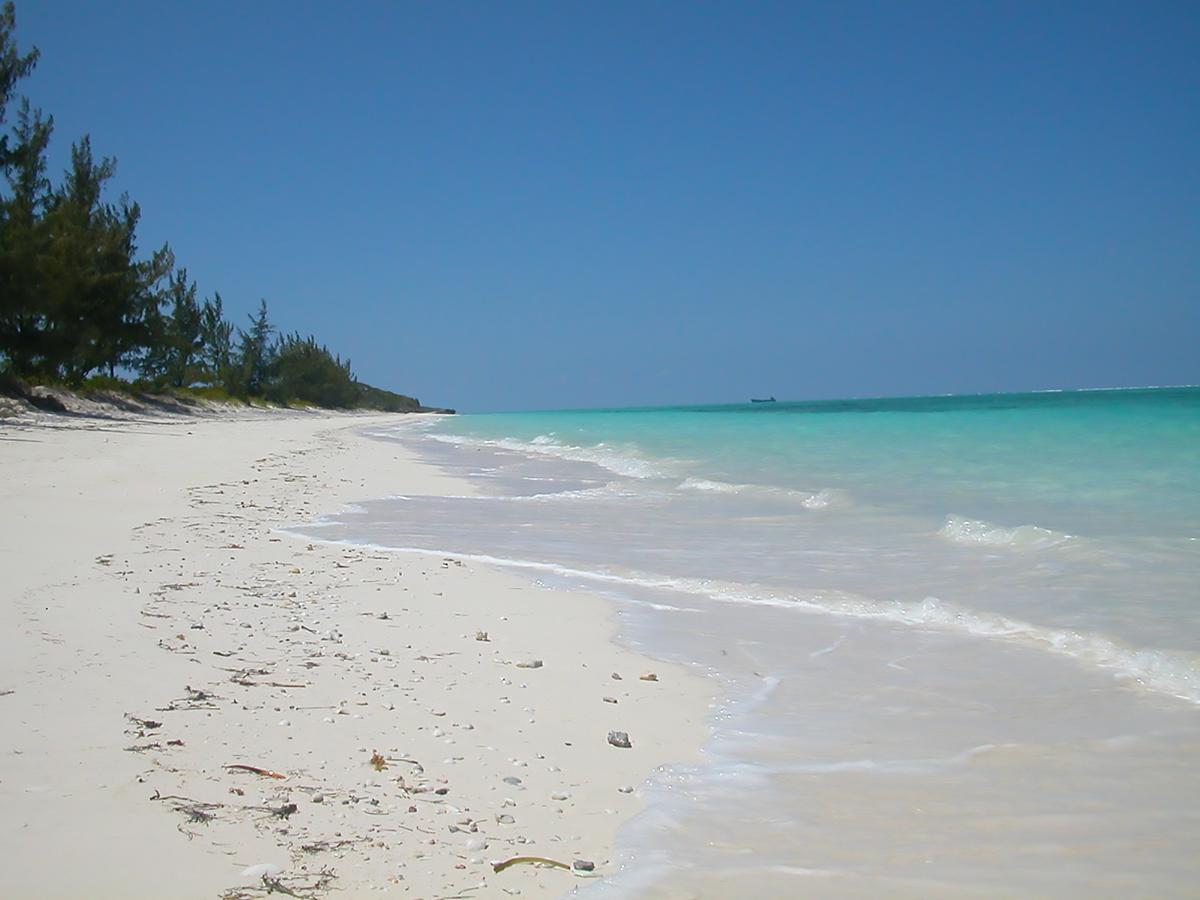 Whitby Hollywood Beach Suites Turks And Caicos מתקנים תמונה